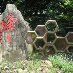 养生源蜜蜂王国