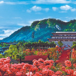 大别山映山红生态文化大观园