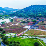龙寺生态园
