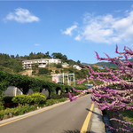 云谷田园