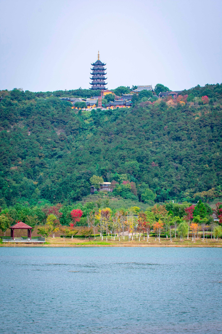 【张家港验客】秋日芬芳,念念不忘