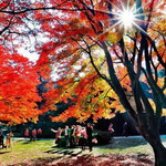 庐山风景名胜区