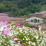 石桥水乡湿地公园