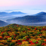 横头山（金龙山）国家森林公园