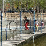 生存岛