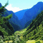 坡陇原始森林旅游风景区
