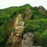 鸡冠山森林公园