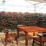 茶花泉玉屏现代农业科技展示馆