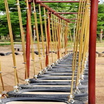 沙窝森林公园