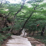 壹台山骆驼峰景区