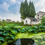 杨柳村古建筑群