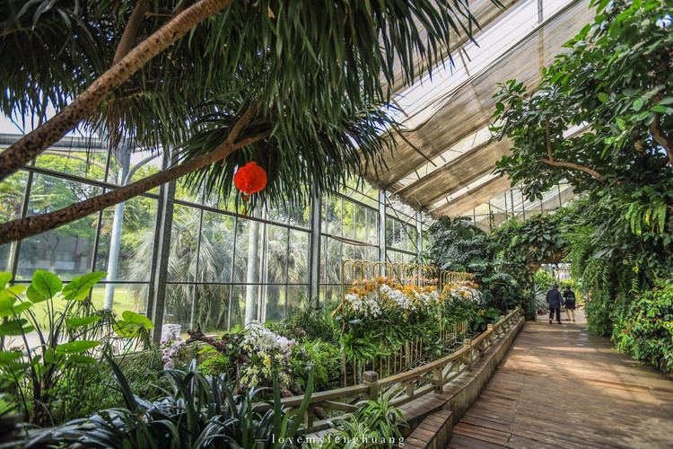 武汉植物园景观温室