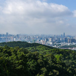 云台花园