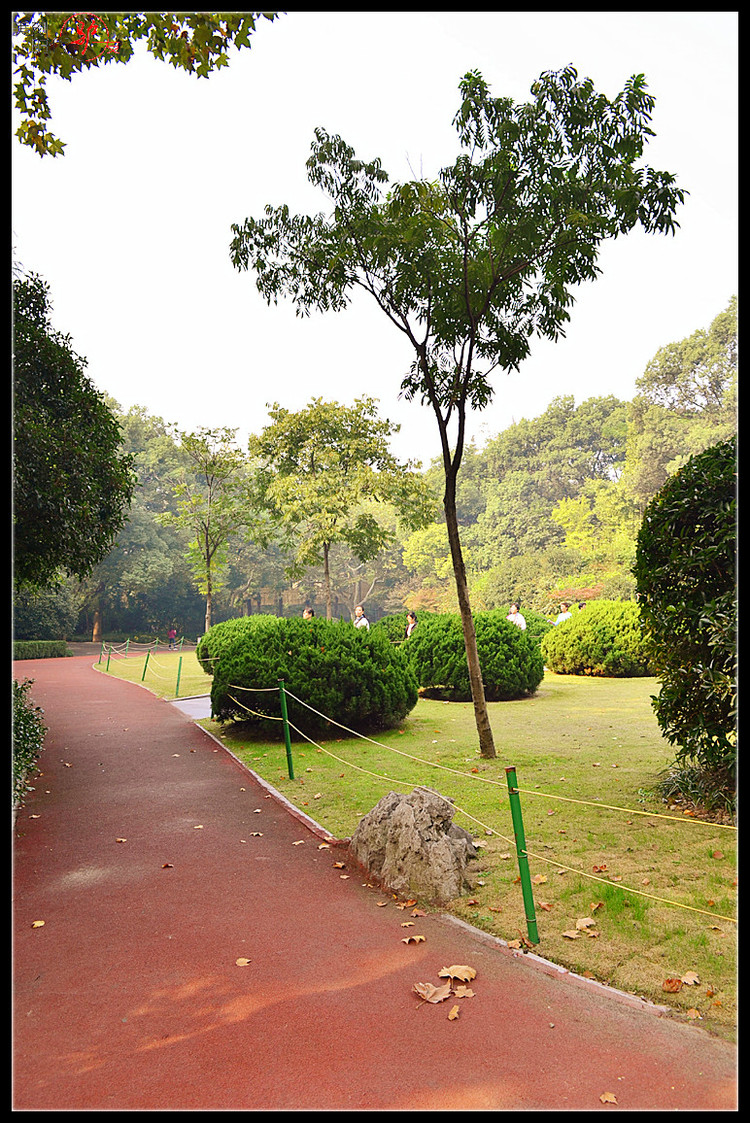 【疯狂游记】上海衡山公园游记