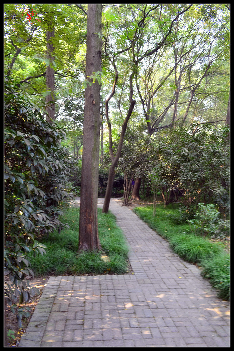 【疯狂游记】上海衡山公园游记