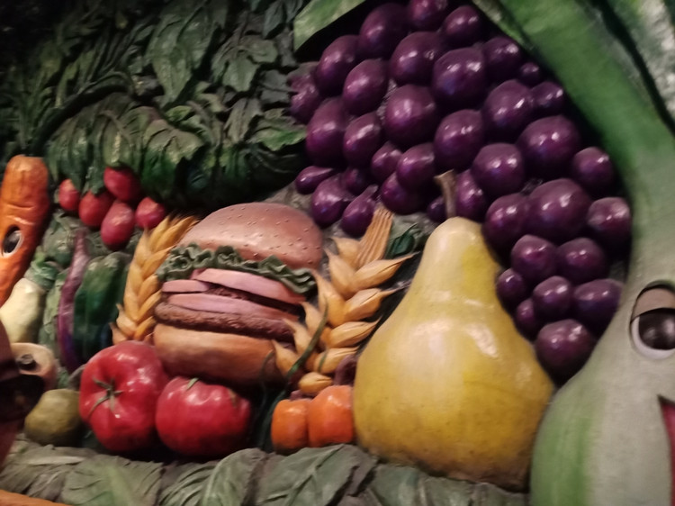 食物的旅行 上海科技馆