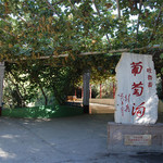 葡萄沟