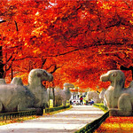 钟山风景名胜区