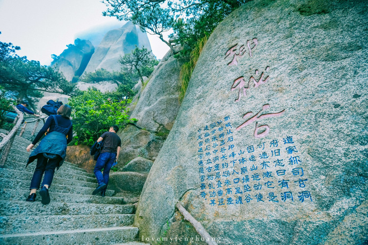 杜鹃花开天柱山,云端上的舞者