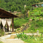 金上汤温泉度假村