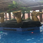 龙泽温泉