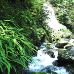 黄沙秘境大峡谷景区