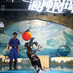 娄底海立方海洋公园