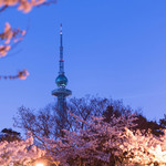 青岛中山公园