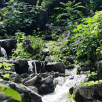 莫一奇峰