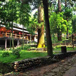 东天目山景区