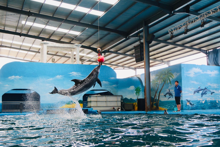 【石狮海洋世界验客】初夏,最美的遇见