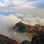 姑婆山国家森林公园