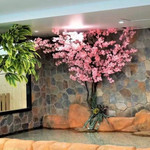 宛江汇温泉酒店
