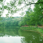 君武森林公园