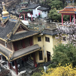 十渡翠竹桥苑