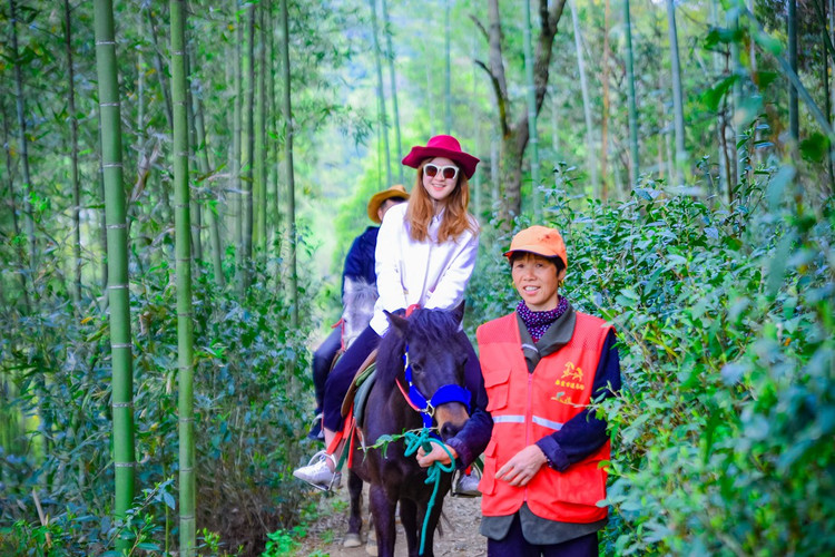 玩乐/秦皇古道骑马