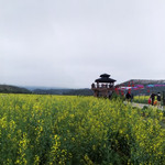 玉龙寨