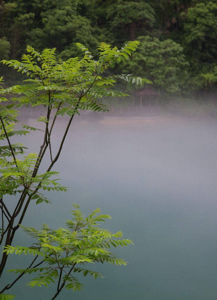 郴州三重奏,有时风雨有时晴