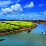 鄱阳湖国家湿地公园