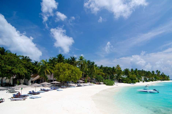 6-7天·马尔代夫阿米拉+水飞上岛+HB早晚餐+上海出港（多版本）