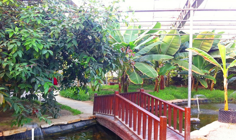 预订须知景点简介天津市里自沽农场晶宝温泉农庄坐落于宝坻区东南方