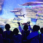 龙都海洋世界