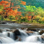 九龙湾