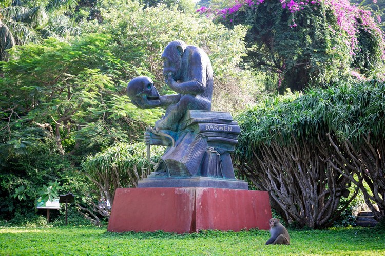 【南湾猴岛 趣味猕猴】