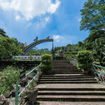 水濂山蝴蝶谷