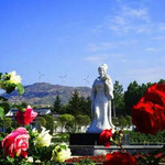 德云山风情植物园