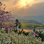 回龙湾风景区