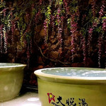 大悦汤温泉汗蒸生活馆