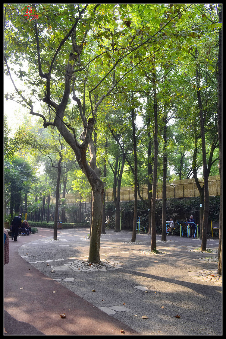 【疯狂游记】上海衡山公园游记