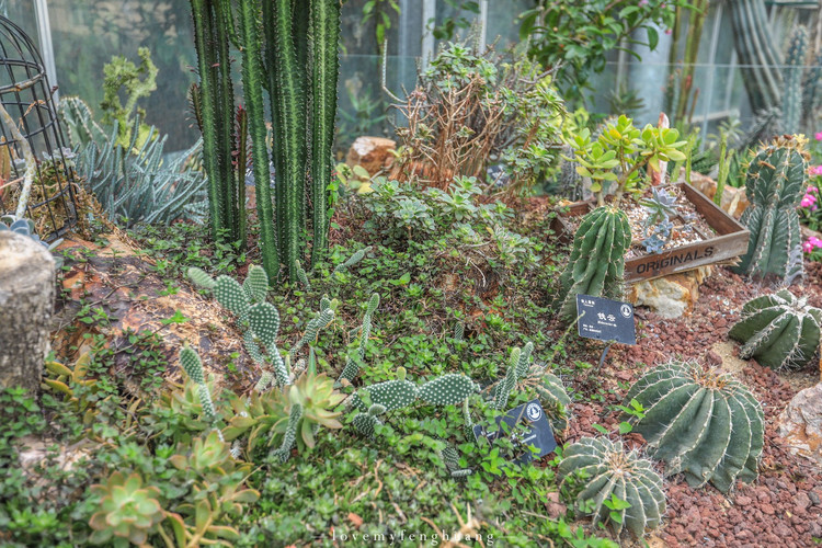 武汉植物园景观温室